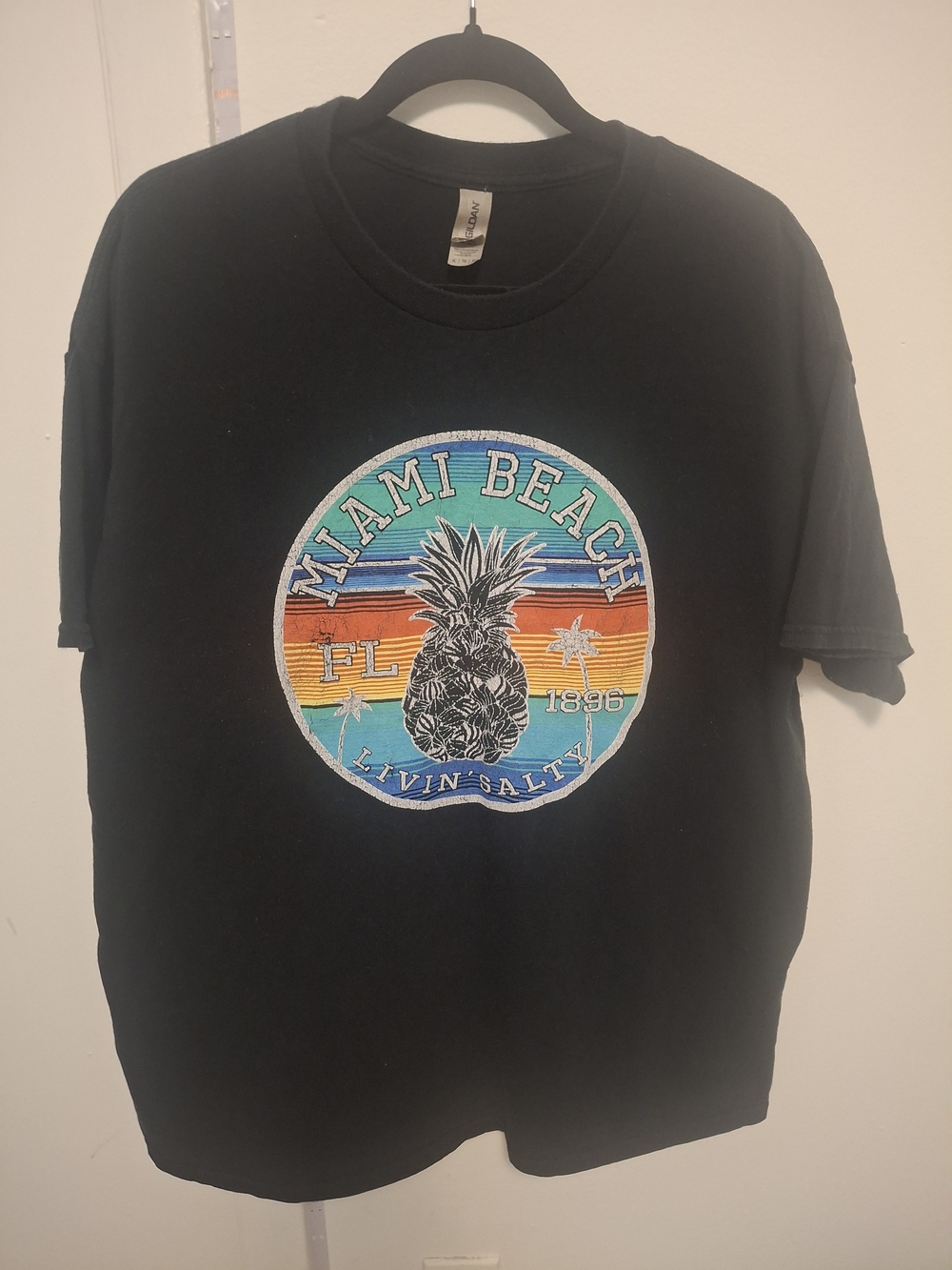 Gildan Black T‑Shirt with Multicolor Miami Beach Pineapple Graphic